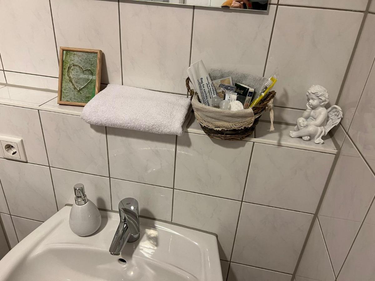 Business Appartement 美因茨 外观 照片